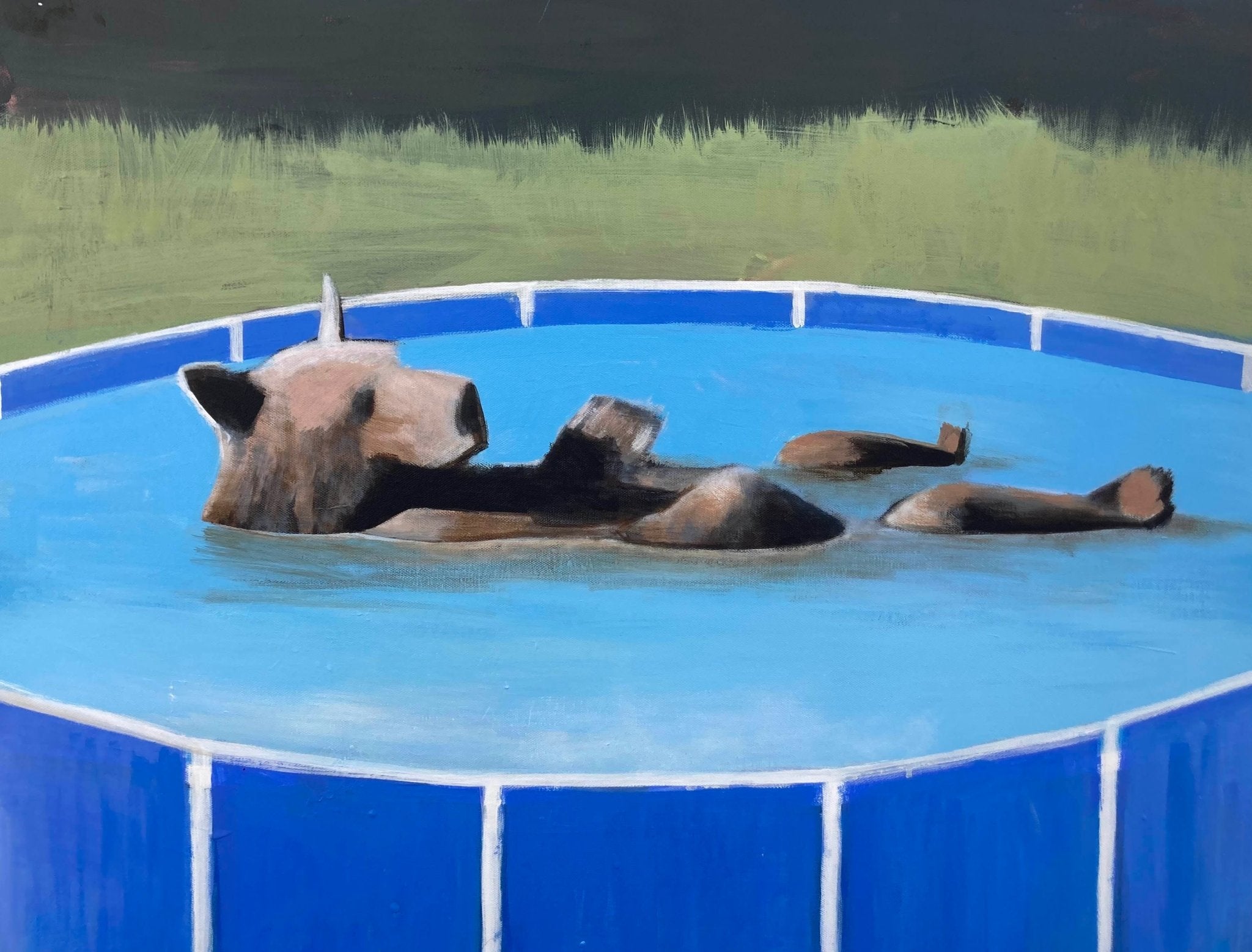 Pool Boy - Landscape Memories